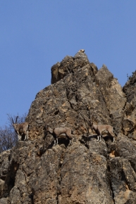 Tunceli'de Doğayla İç İçe Kaplıca