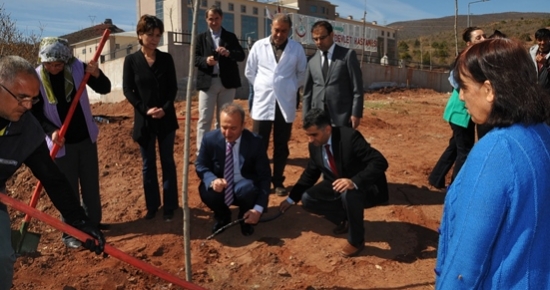 Tunceli'de ağaçlandırma çalışmaları başladı