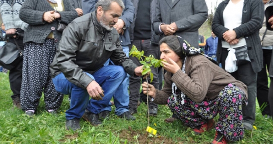 Anne ve Babası Berkin İçin Ovacık’ta  Fidan Dikti