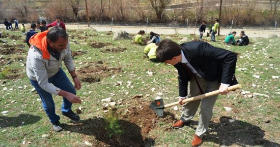 Hozat’ta fidan dikimi gerçekleşti