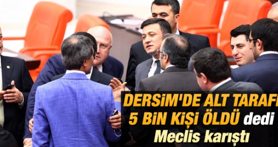 TBMM Genel Kurulu'nda "Dersim" Tartışması