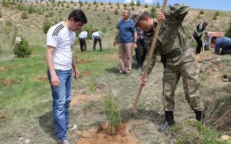 Çemişgezek’te Ağaçlandırma Çalışmaları