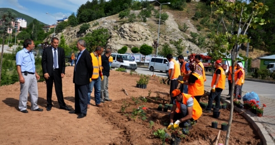 Yeşillendirme Çalışmaları Sürüyor