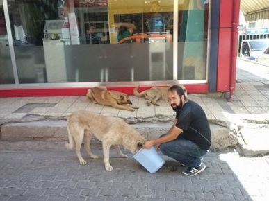 Susuz kalan sokak hayvanlarına duyarlı vatandaş sahip çıktı