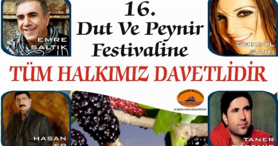 Çemişgezek Dut ve Peynir Festivali