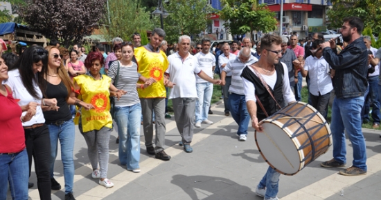 Tunceli'de Eğitimciler grev yaptı