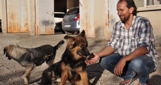 Beli kırılan köpeğe “yürüteç“li destek