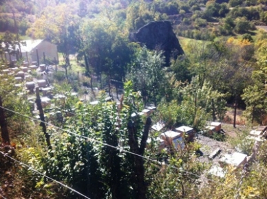 Tunceli’de toprakta asbest araştırma çalışması yapıldı