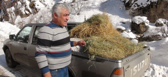 Aç Kalan Hayvanlara Yem Bırakıldı