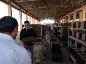 Dersim’in tek tuğla fabrikası 5 yıl sonra yeniden açıldı