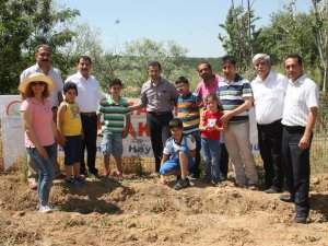 Toprak Haftasında Fidan Dikildi