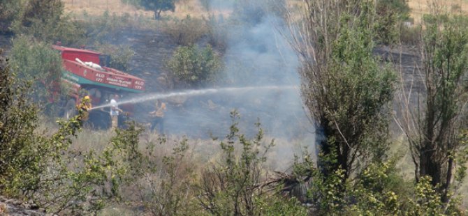 Dersim’de yangın ağaçlara zarar verdi