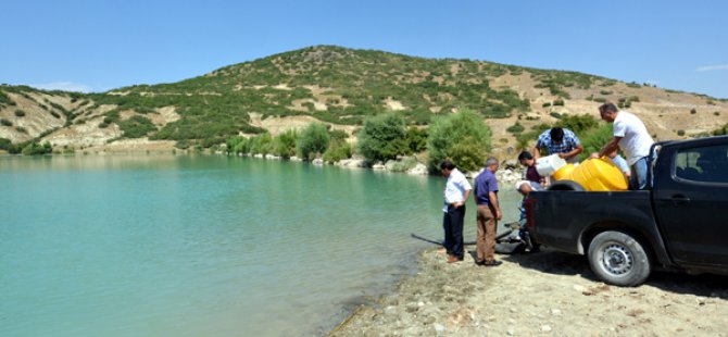 Dersim’de gölete balık bırakıldı