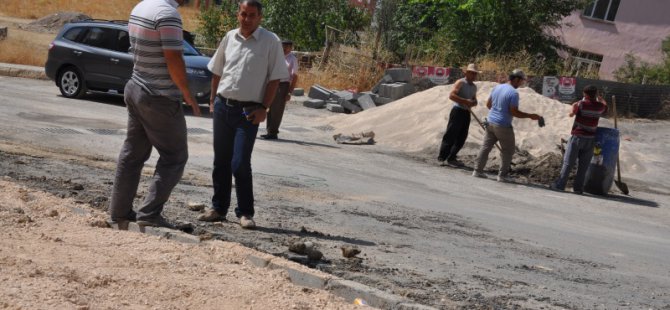 Eşbaşkan Bul, yol çalışmalarını inceledi