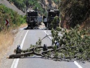 Dersim’de gözaltı ve operasyon