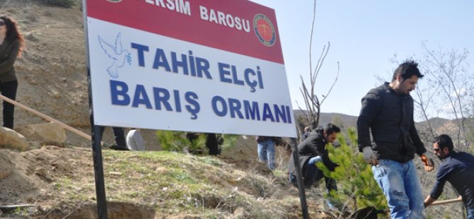 Dersim Barosu Tahir Elçi anısına orman oluşturdu