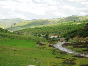 Dersim’de çatışma: sokağa çıkma yasağı ilan edildi