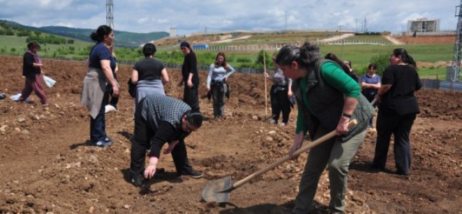 Dersim Belediyesi yerli tohum üretecek