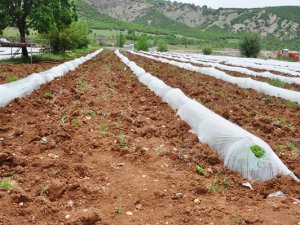 Mardinli kız kardeşlerden kadınlara örnek olacak çalışma