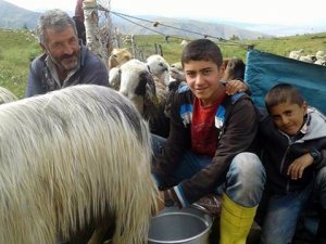 Koyun otlatırken çalıştı TEOG birincisi oldu