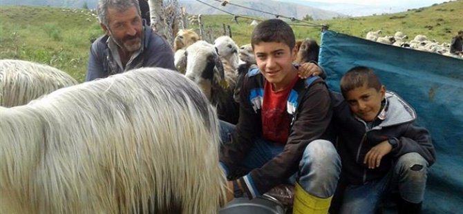 Koyun otlatırken çalıştı TEOG birincisi oldu