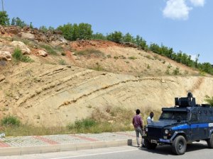 Yaban keçileri için karayolunda önlem