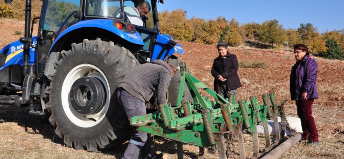 Kadın Meclisi, buğday ve arpa ekimi yaptı