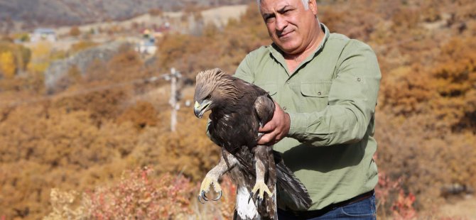 Tedavi Edilen Yaralı Kartal Doğaya Bırakıldı