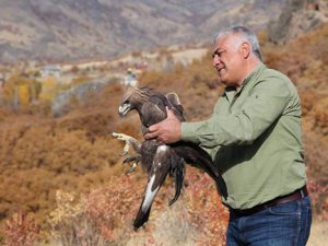 Tedavi Edilen Yaralı Kartal Doğaya Bırakıldı