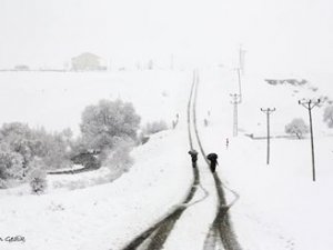 Dersim’de 239 köy yolu ulaşıma kapandı