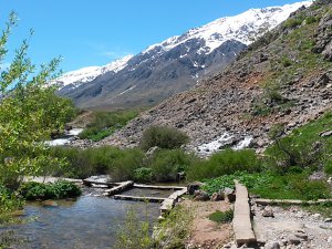 Dersim Barosu’ndan Gözelerin Korunması İçin Başvuru