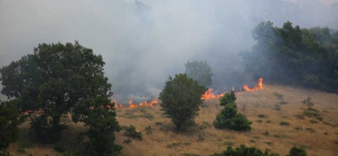 Dersim Ekoloji İnisiyatifi: Dersim sahipsiz değildir