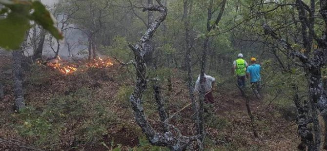 'Dersim orman yangınları raporlaştırılıyor'