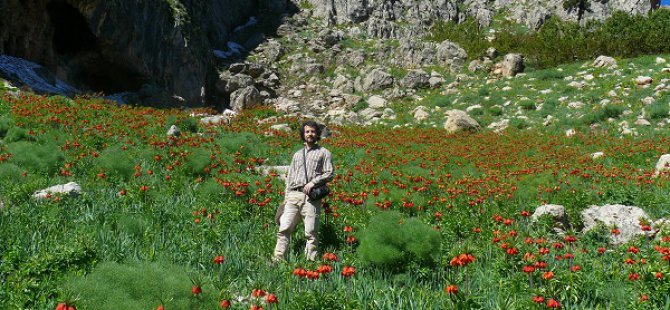 Tunceli'de yeni bir bitki türü keşfedildi