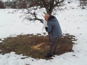 Yaban hayvanları için doğaya yem bırakıldı