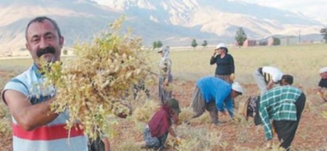 Maçoğlu, arazilerin ihaleye çıkarılmasına tepkili