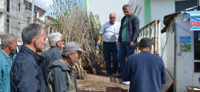 Doğaseverler Dersim'e fidan gönderdi