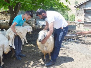 14 yaşındaki Berdan'ın LGS başarısı dikkat çekti