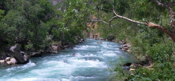 Danıştay’dan Munzur’da barajlarla ilgili tarihi karar