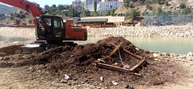 Munzur ve Pülümür Çayı temizlendi