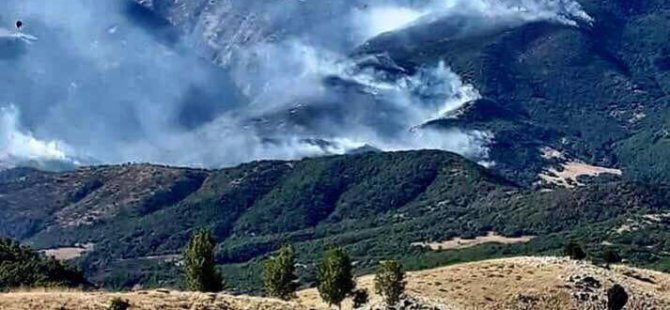 DAD Ankara Şubesi: Dersim’de çıkarılan yangının söndürülmesi engelleniyor