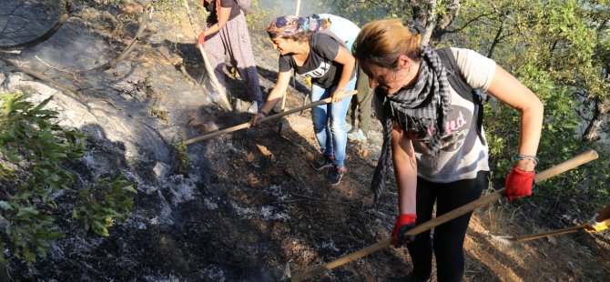 Çatışmalar Dersim’in doğasına ciddi zarar veriyor