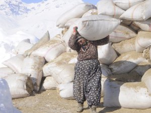 Hayvan sahipleri ağır  kış koşullarıyla mücadele ediyor