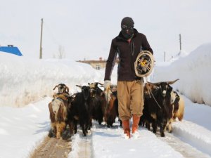 Ovacık’ta vatandaşların kar ile imtihanı