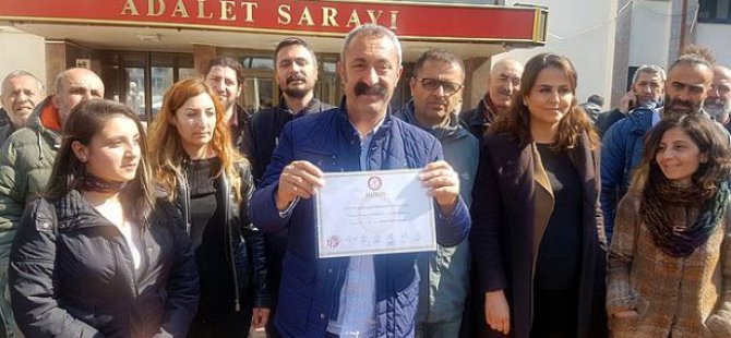 Maçoğlu'ndan sokak hayvanları için bağış çağrısı