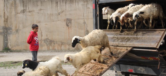 Besicilerin yolculuğu başladı