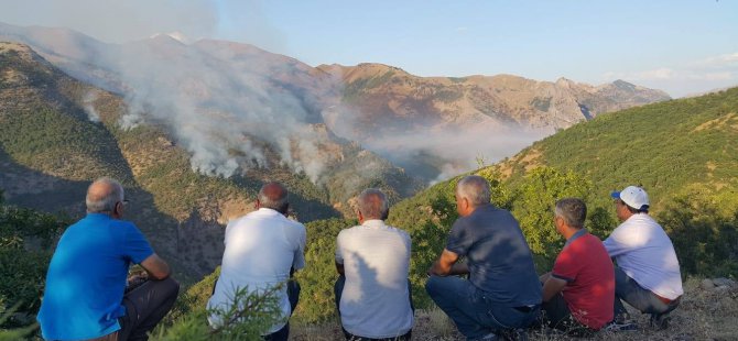 Orman yangınında güvenlik güçleri suçlu bulundu