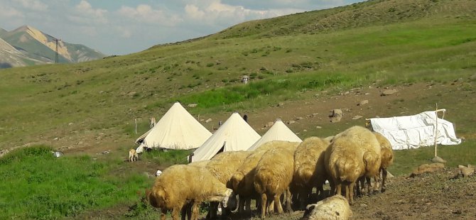 Sürü sahipleri yasakların kaldırılmasını istiyor