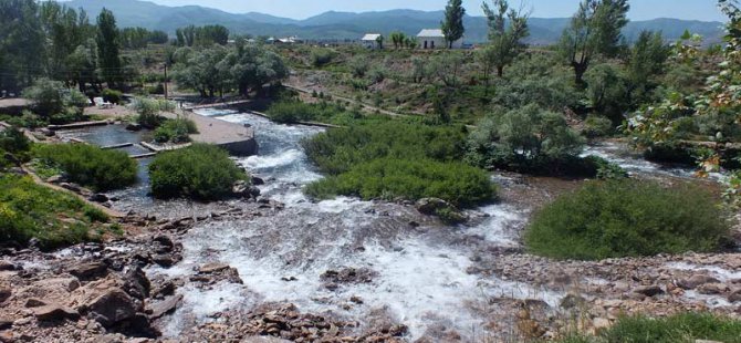 Maden projeleri Dersim’i endişelendiriyor VİDEO