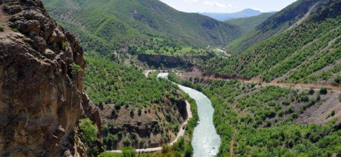 Munzur Nehri'ne karışan atıklar, dağ keçilerinin toplu ölümüne yol açabilir